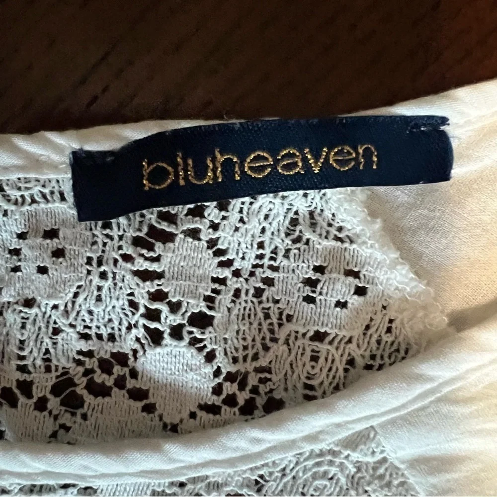 Blu Heaven (By UmGree) Floral Embroidered Crochet Mini Dress. Size: Small. - Picture 3 of 12